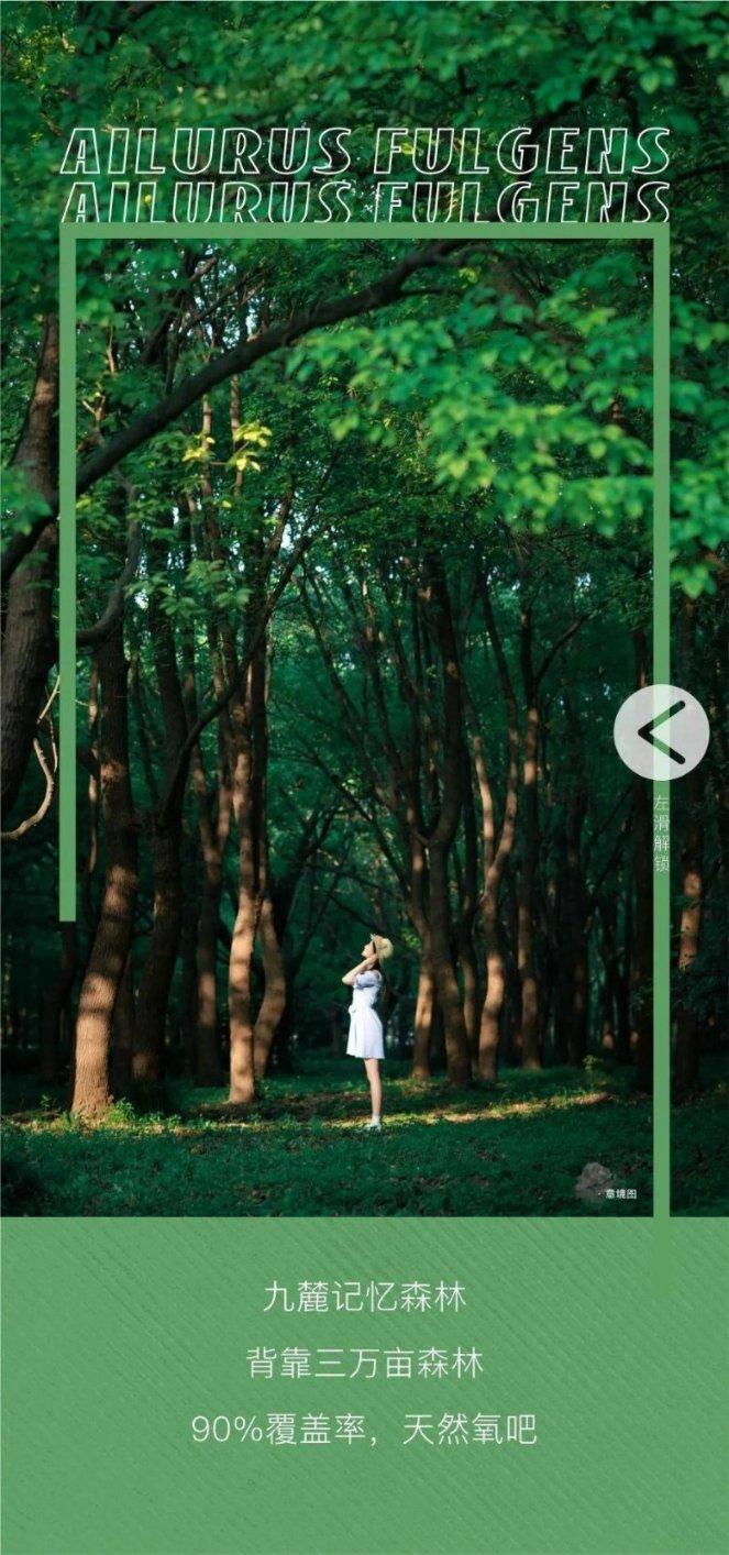 三国时期,第一谋士是庞统还是诸葛亮呢?-专业问答网站